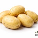 WhatsApp Image 2026 02 07 at 11.35.21 PM