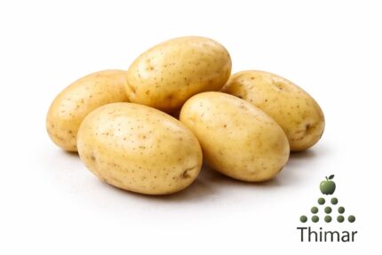 WhatsApp Image 2026 02 07 at 11.35.21 PM