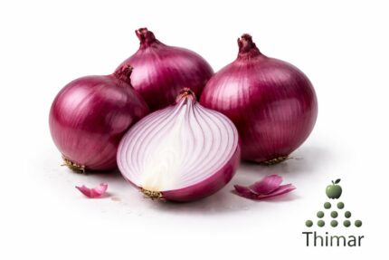 WhatsApp Image 2026 02 07 at 11.38.58 PM