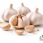 WhatsApp Image 2026 02 07 at 11.41.45 PM