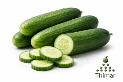 WhatsApp Image 2026 02 07 at 11.43.43 PM