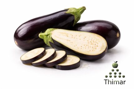 WhatsApp Image 2026 02 07 at 11.46.57 PM