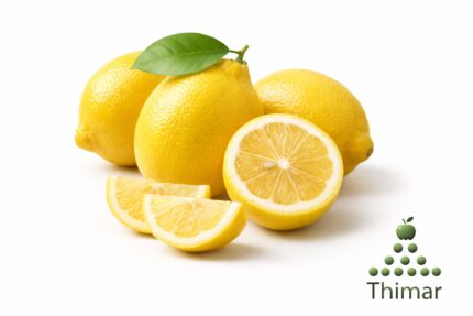 WhatsApp Image 2026 02 07 at 11.49.10 PM