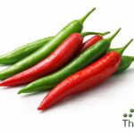 WhatsApp Image 2026 02 07 at 11.50.56 PM