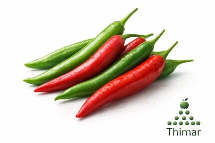 WhatsApp Image 2026 02 07 at 11.50.56 PM