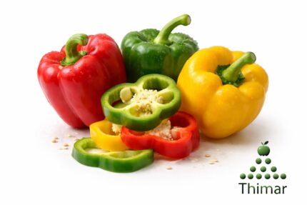 WhatsApp Image 2026 02 07 at 11.52.57 PM