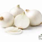 WhatsApp Image 2026 02 07 at 11.56.00 PM