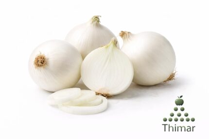 WhatsApp Image 2026 02 07 at 11.56.00 PM