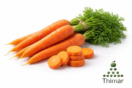 WhatsApp Image 2026 02 07 at 11.57.54 PM 1