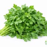 WhatsApp Image 2026 02 08 at 1.27.14 AM