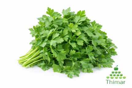 WhatsApp Image 2026 02 08 at 1.27.14 AM