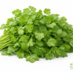 WhatsApp Image 2026 02 08 at 1.28.30 AM