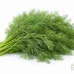 WhatsApp Image 2026 02 08 at 1.29.08 AM