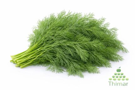 WhatsApp Image 2026 02 08 at 1.29.08 AM