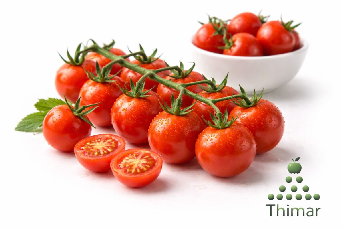 WhatsApp Image 2026 02 08 at 12.00.55 AM