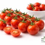 WhatsApp Image 2026 02 08 at 12.00.55 AM