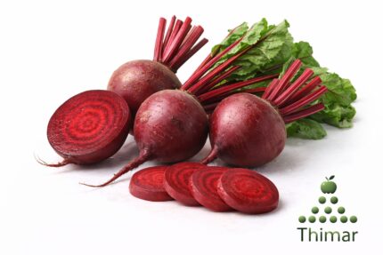 WhatsApp Image 2026 02 08 at 12.03.04 AM