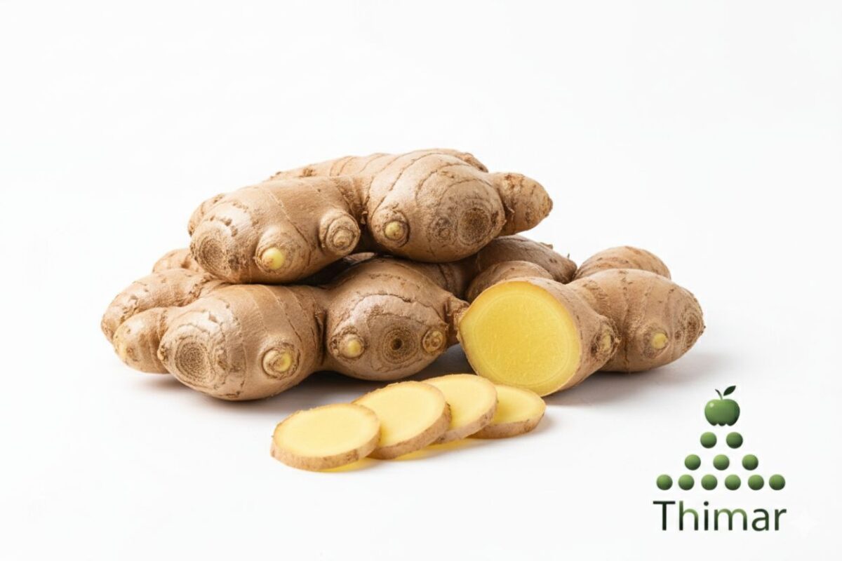 WhatsApp Image 2026 02 08 at 12.11.30 AM