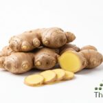 WhatsApp Image 2026 02 08 at 12.11.30 AM