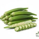 WhatsApp Image 2026 02 08 at 12.12.42 AM