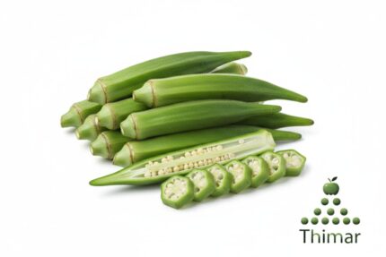 WhatsApp Image 2026 02 08 at 12.12.42 AM