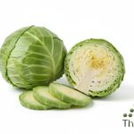 WhatsApp Image 2026 02 08 at 12.14.29 AM