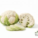 WhatsApp Image 2026 02 08 at 12.15.22 AM