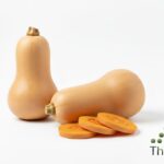 WhatsApp Image 2026 02 08 at 12.17.55 AM