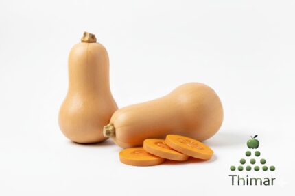 WhatsApp Image 2026 02 08 at 12.17.55 AM