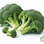 WhatsApp Image 2026 02 08 at 12.20.12 AM