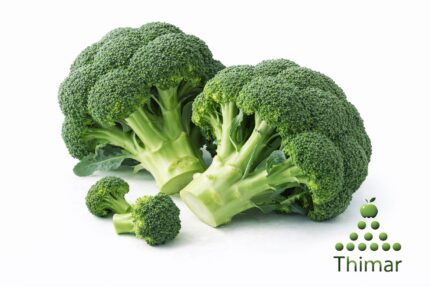 WhatsApp Image 2026 02 08 at 12.20.12 AM