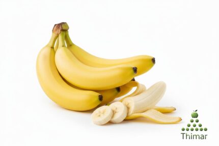 WhatsApp Image 2026 02 08 at 12.22.31 AM