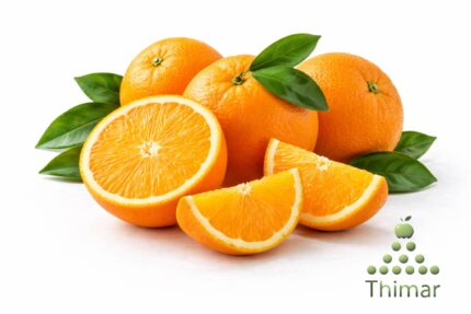 WhatsApp Image 2026 02 08 at 12.29.20 AM