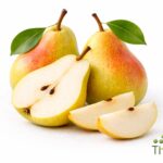 WhatsApp Image 2026 02 08 at 12.32.44 AM