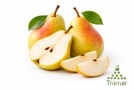 WhatsApp Image 2026 02 08 at 12.32.44 AM