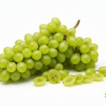 WhatsApp Image 2026 02 08 at 12.33.11 AM