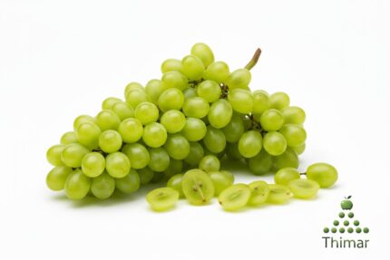 WhatsApp Image 2026 02 08 at 12.33.11 AM