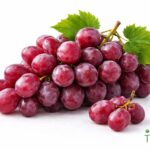 WhatsApp Image 2026 02 08 at 12.36.05 AM