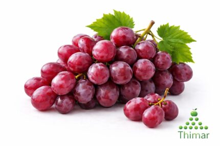 WhatsApp Image 2026 02 08 at 12.36.05 AM