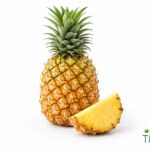 WhatsApp Image 2026 02 08 at 12.36.52 AM