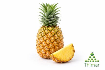 WhatsApp Image 2026 02 08 at 12.36.52 AM