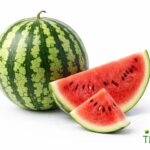 WhatsApp Image 2026 02 08 at 12.38.29 AM