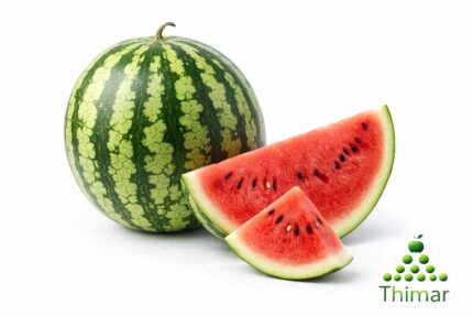 WhatsApp Image 2026 02 08 at 12.38.29 AM