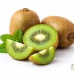 WhatsApp Image 2026 02 08 at 12.40.03 AM