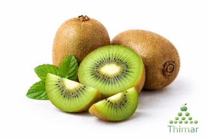 WhatsApp Image 2026 02 08 at 12.40.03 AM