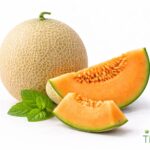 WhatsApp Image 2026 02 08 at 12.41.19 AM