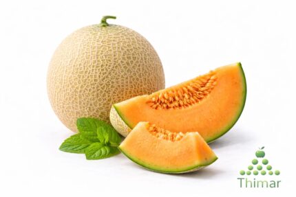 WhatsApp Image 2026 02 08 at 12.41.19 AM