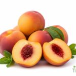 WhatsApp Image 2026 02 08 at 12.43.38 AM