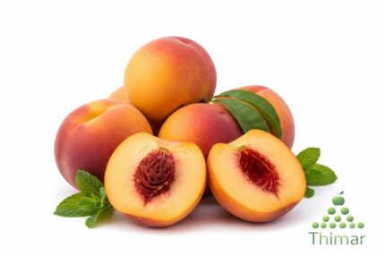 WhatsApp Image 2026 02 08 at 12.43.38 AM