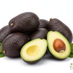 WhatsApp Image 2026 02 08 at 12.44.40 AM